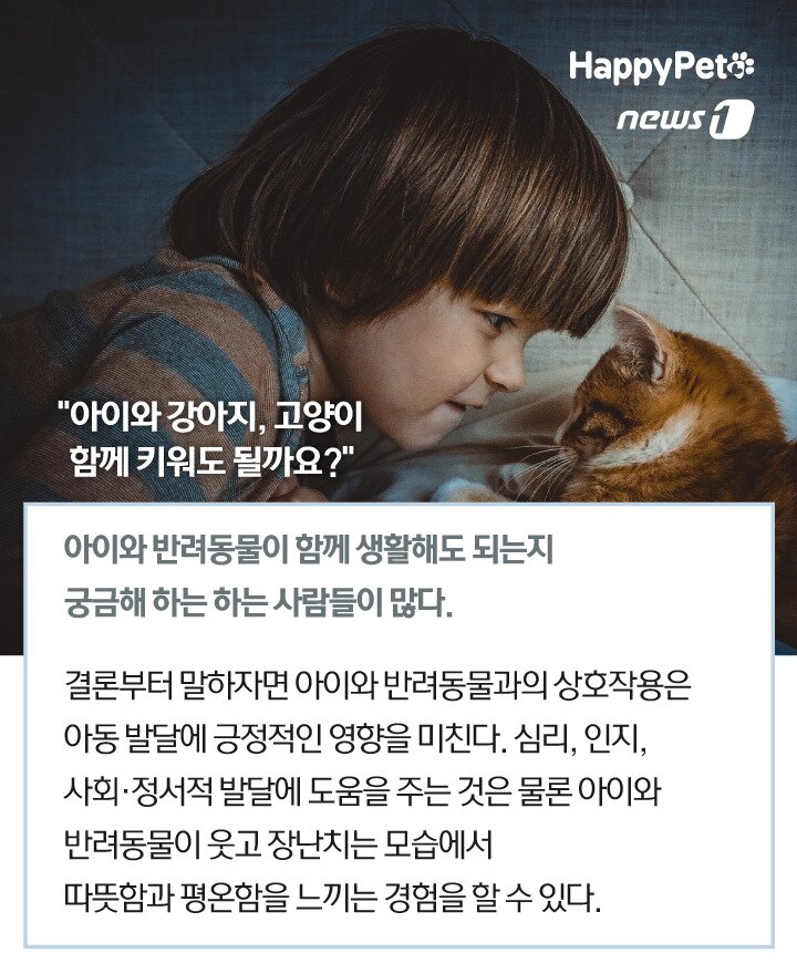 본문 이미지 -  