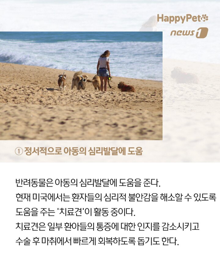 본문 이미지 -  