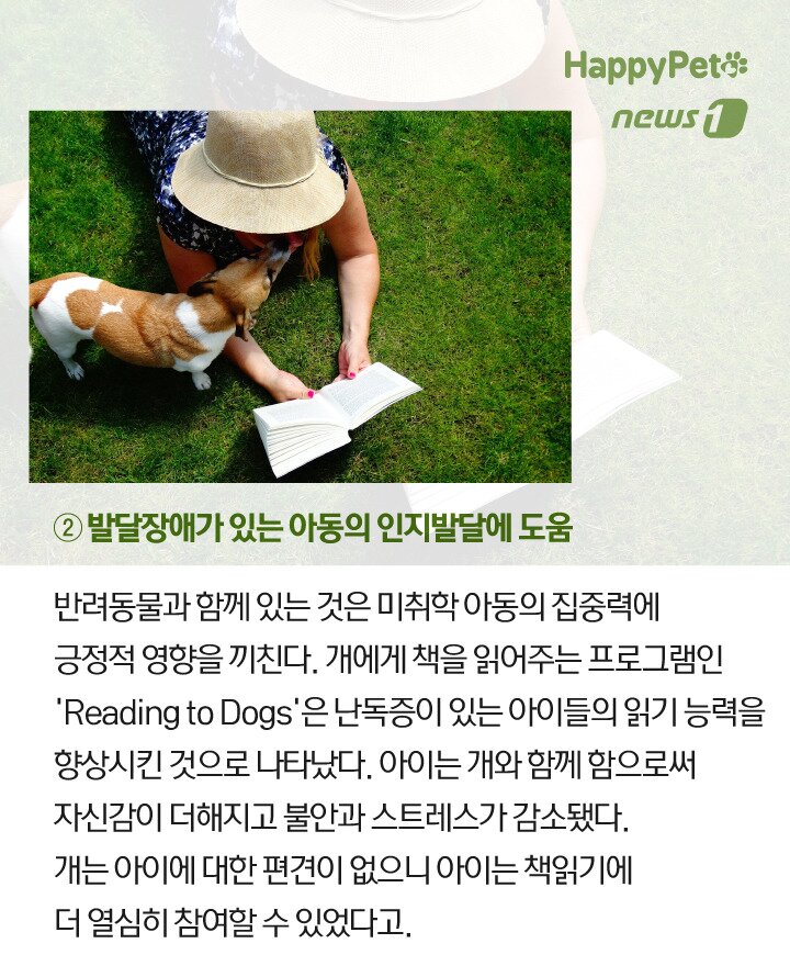 본문 이미지 -  