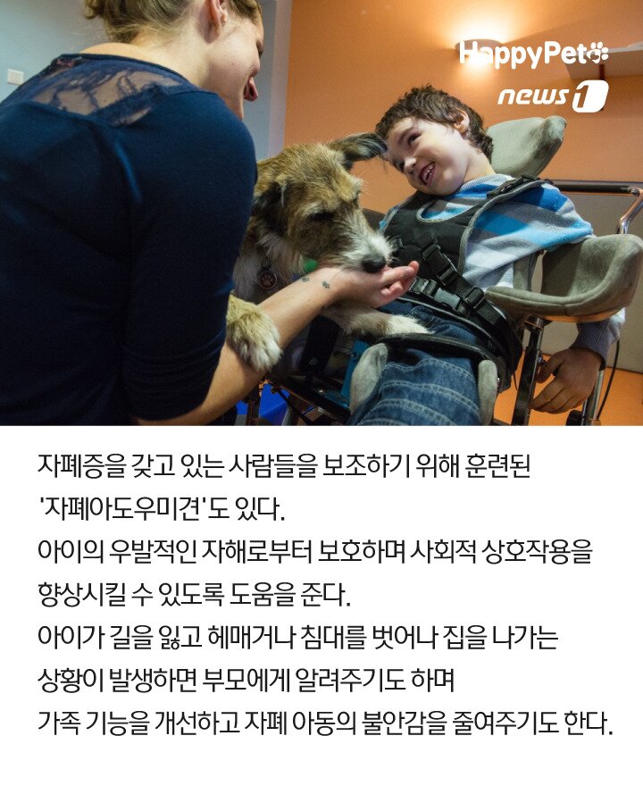 본문 이미지 -  