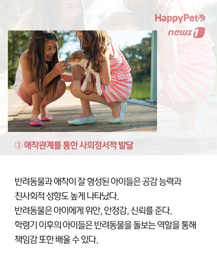 본문 이미지 -  