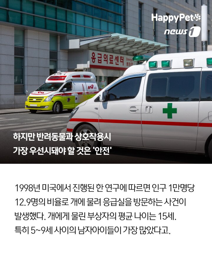 본문 이미지 -  