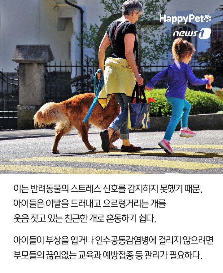 본문 이미지 -  