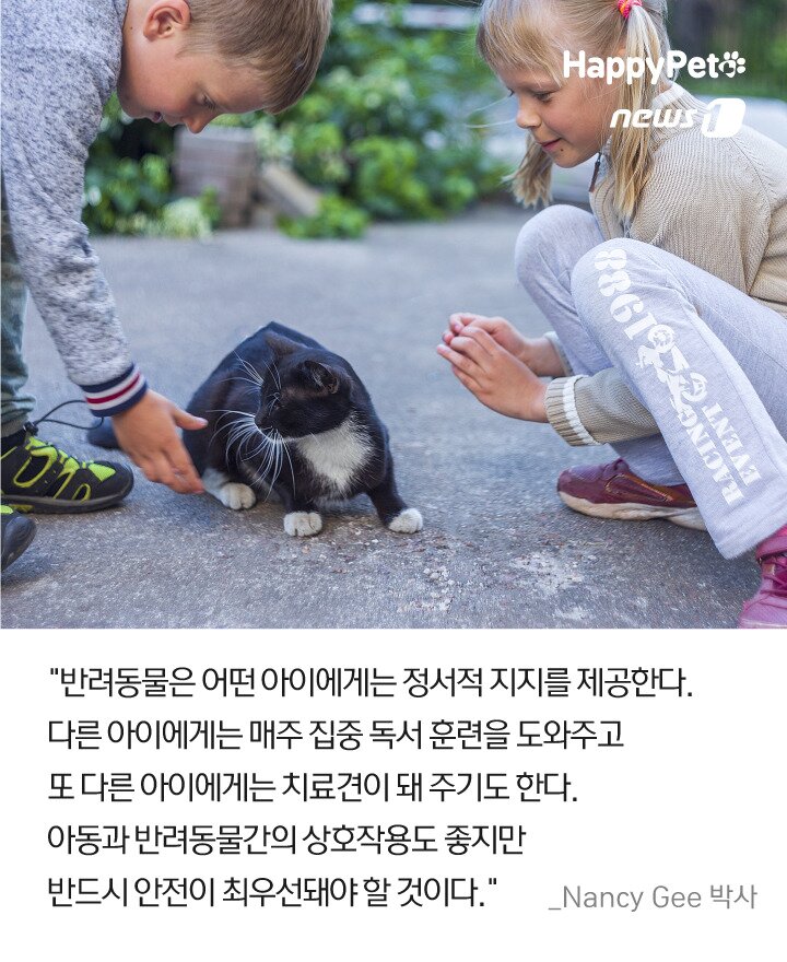 본문 이미지 -  