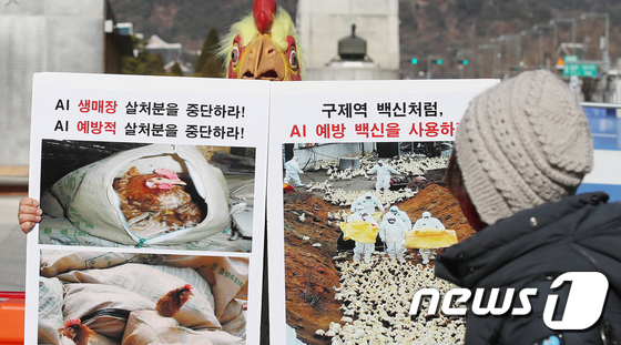 닭 가면 쓰고 퍼포먼스 펼치는 한국동물보호협회