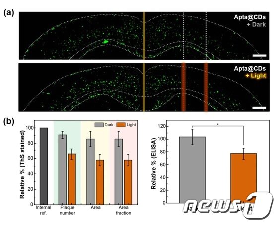 ‘치매 치료를위한 빛’… 국내 연구팀 나노 복합체 개발