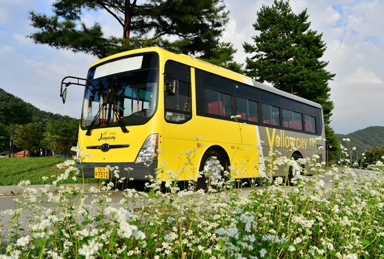 '버스 기다리는 농촌' 끝낸다…AI 맞춤형 교통 5개 군 실증