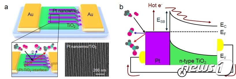 백금 나노와이어를 타이타니아에 증착시켜 제작한 핫전자 촉매소자를 이용한 금속-산화물 계면에서 촉매 반응에 의해 생성되는 핫전자 이동 검출&#40;KAIST 제공&#41; ⓒ뉴스1
