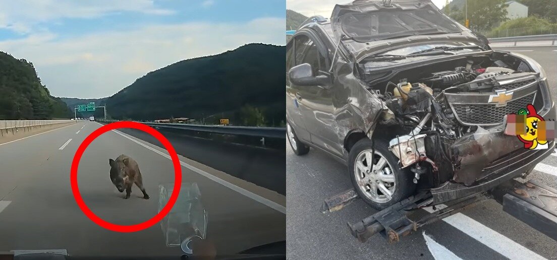 본문 이미지 - 이 사고로 운전자는 차량을 폐차했다고 전했다. (유튜브 채널 '한문철 TV' 갈무리)ⓒ 뉴스1