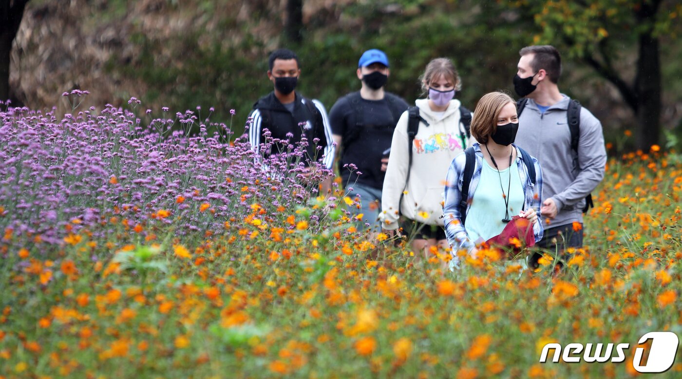 본문 이미지 - 11일 강원 인제 ‘가을 꽃축제’가 열리는 북면 용대리 용대관광단지를 찾은 관광객들이 가을의 정취를 만끽하며 즐거운 시간을 보내고 있다. ‘인제에서 꽃길만 걷자’를 테마로 한 꽃축제는 오는 24일까지 열린다.(인제군 제공) 2021.10.11/뉴스1 ⓒ News1 김정호 기자