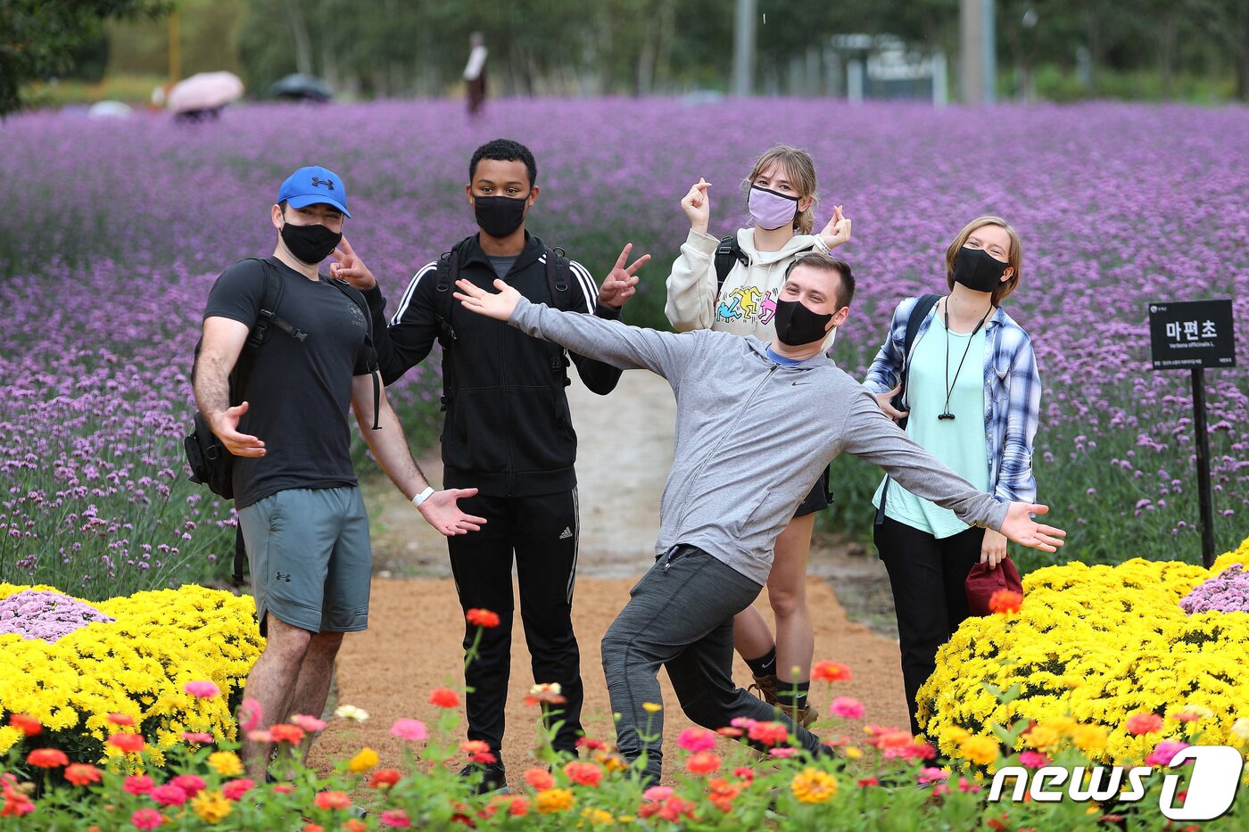 본문 이미지 - 11일 강원 인제 ‘가을 꽃축제’가 열리는 북면 용대리 용대관광단지를 찾은 관광객들이 가을의 정취를 만끽하며 즐거운 시간을 보내고 있다. ‘인제에서 꽃길만 걷자’를 테마로 한 꽃축제는 오는 24일까지 열린다.(인제군 제공) 2021.10.11/뉴스1 ⓒ News1 김정호 기자