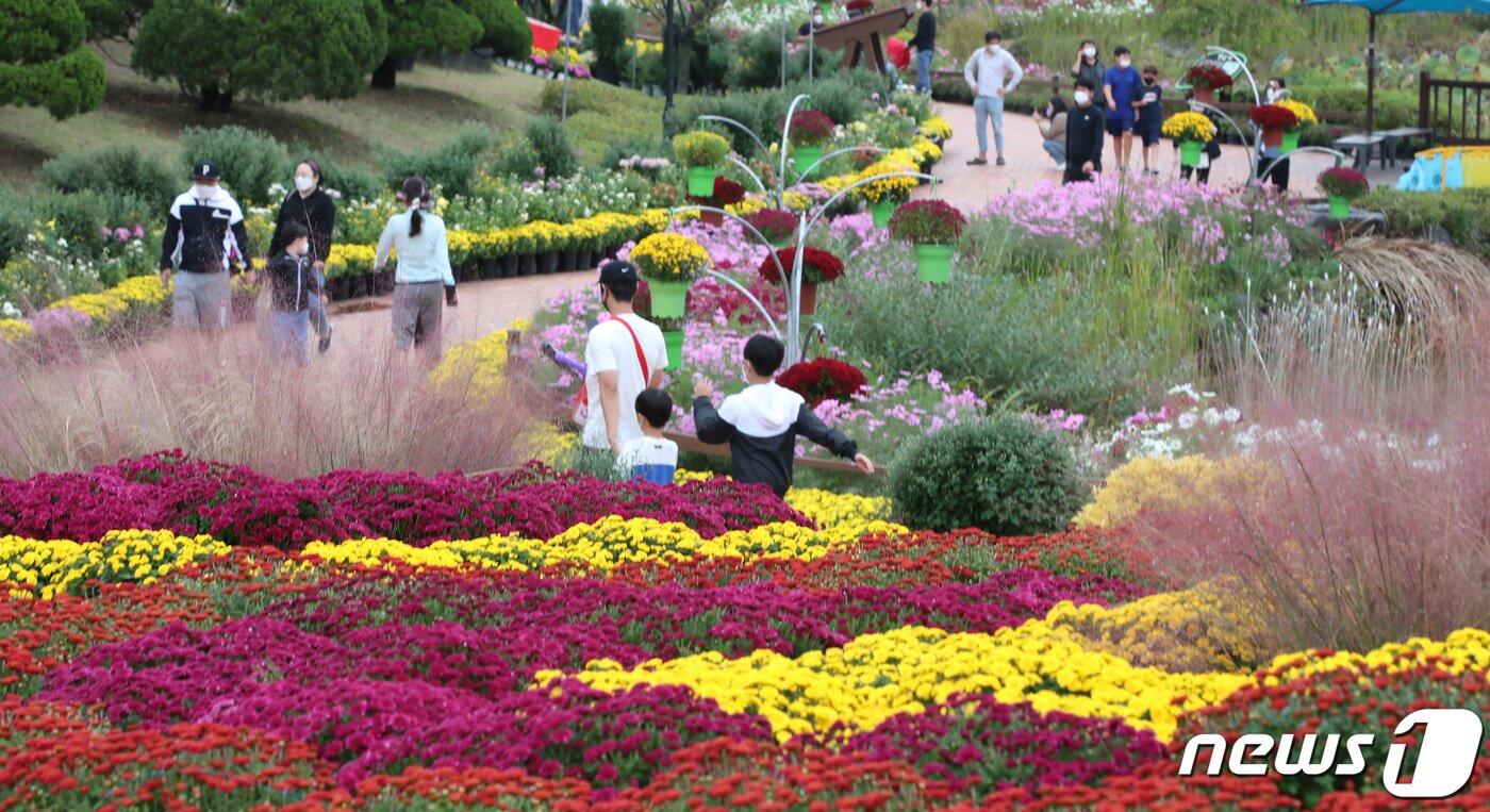 본문 이미지 -  유림공원. 2021.10.11/뉴스1 ⓒ News1 김기태 기자