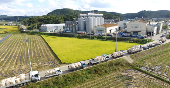 쌀값 상승세에 정부 '시장격리 보류'…수급 관리로 방향 전환
