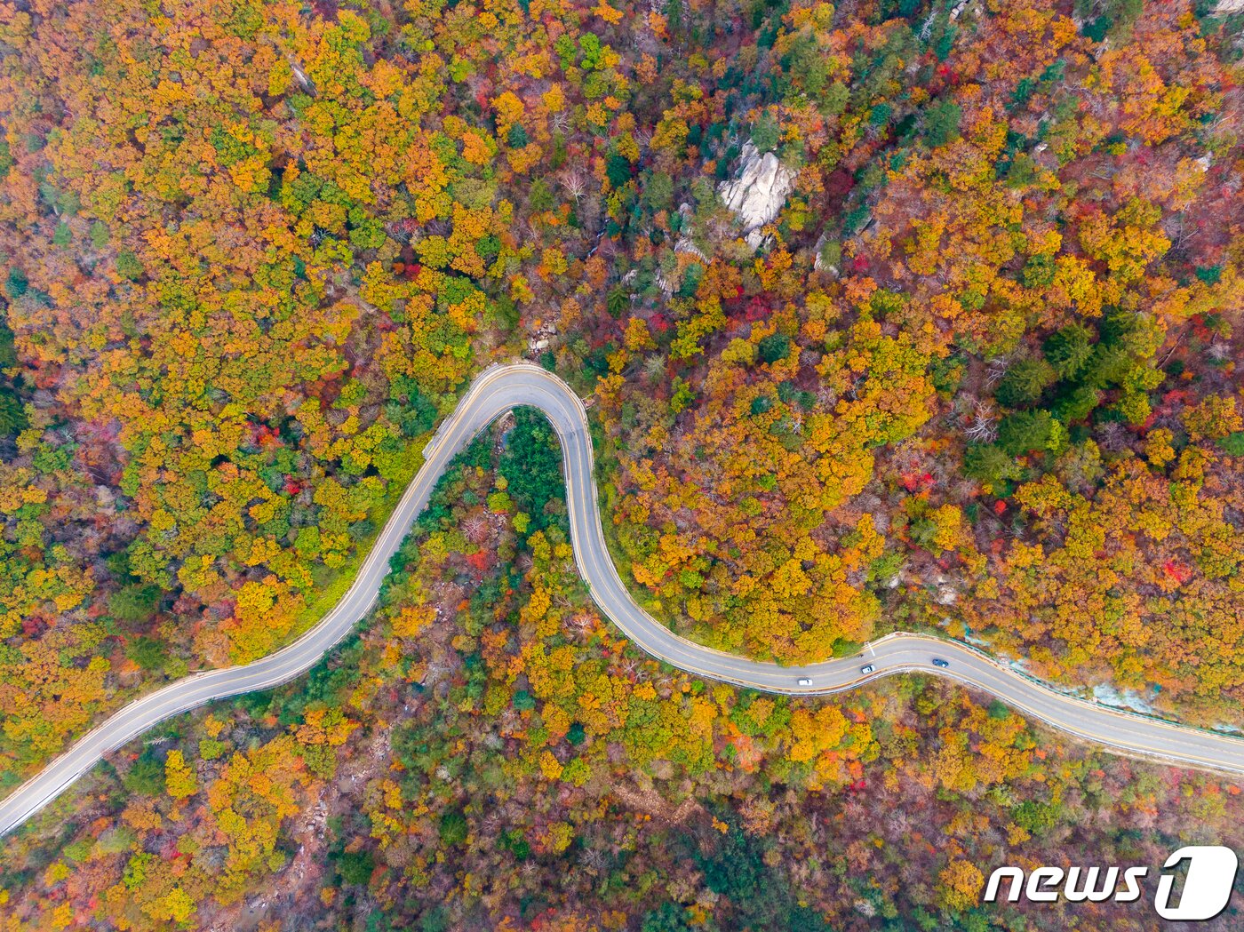 본문 이미지 - 원 양양에서 인제군에 걸친 설악산국립공원 한계령 일대에 물든 단풍&#40;뉴스 DB&#41;ⓒ News1 안은나 기자