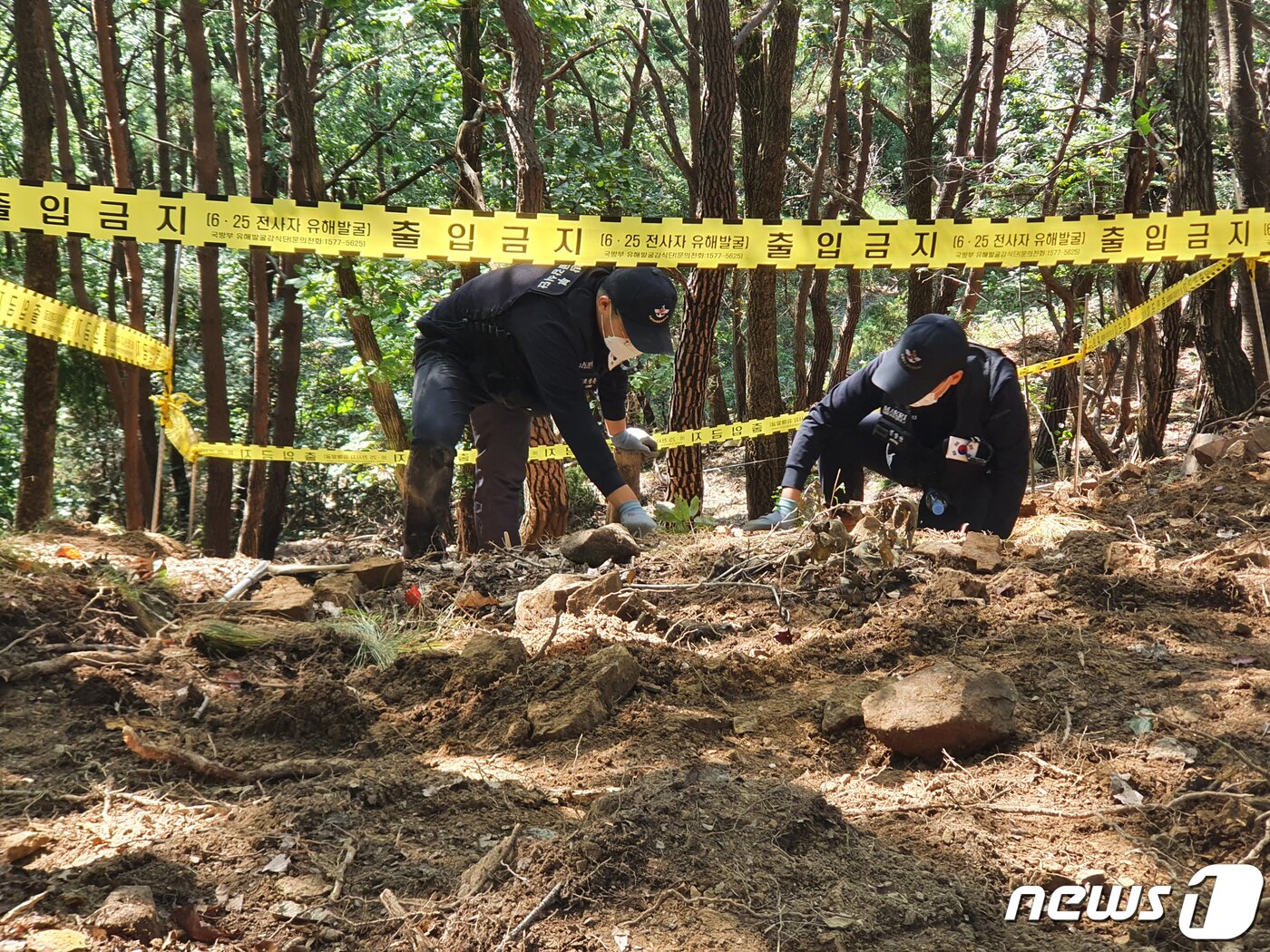 본문 이미지 - 14일 국방부 유해발굴감식단과 육군 제50보병사단 의성군위대대 장병들이 6.25전쟁 격전지였던 군위군 효령면 일원에서 실시한 국군전사자 유해발굴 작전을 펼치고 있다. (사진은 기사 내용과 무관함) / 뉴스1 ⓒ News1