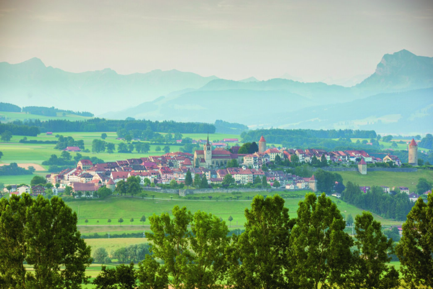 본문 이미지 - 피으-디유 수도회 전경