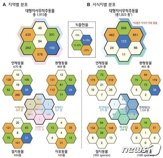본문 이미지 - 한국 연안해역 지역별(서해, 남해, 동해) 및 서식지별(조간대, 조하대, 하구역) 대형저서무척추동물의 출현 종수 및 특성(상단 총수, 하단 4개 주요 분류군별 종수)(해양수산부 제공)ⓒ 뉴스1