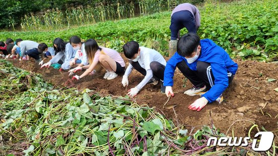 단양 농촌유학센터, 도시-농촌 아이 인성교육의 장 인기