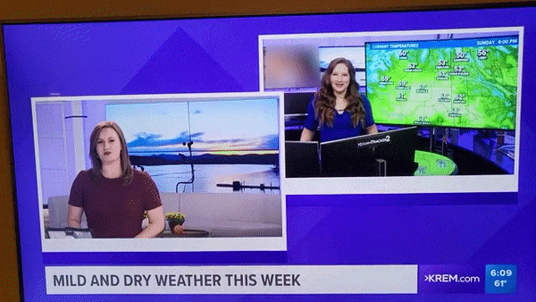 본문 이미지 - 미국 워싱턴주의 지역 방송국 'KREM'이 일기예보 도중 포르노 영상을 송출했다. (유튜브 갈무리) ⓒ 뉴스1