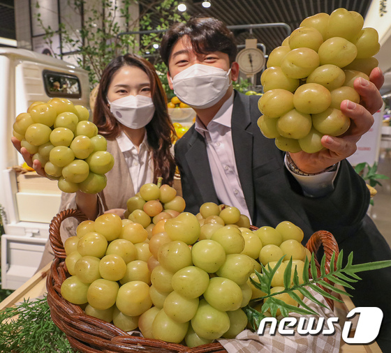 가생이닷컴>커뮤니티 > 잡담 게시판 > 샤인머스캣은 가라~