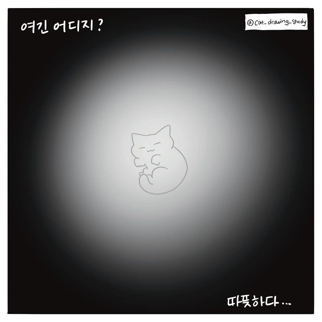 본문 이미지 - 고양이그림공부 ⓒ 뉴스1