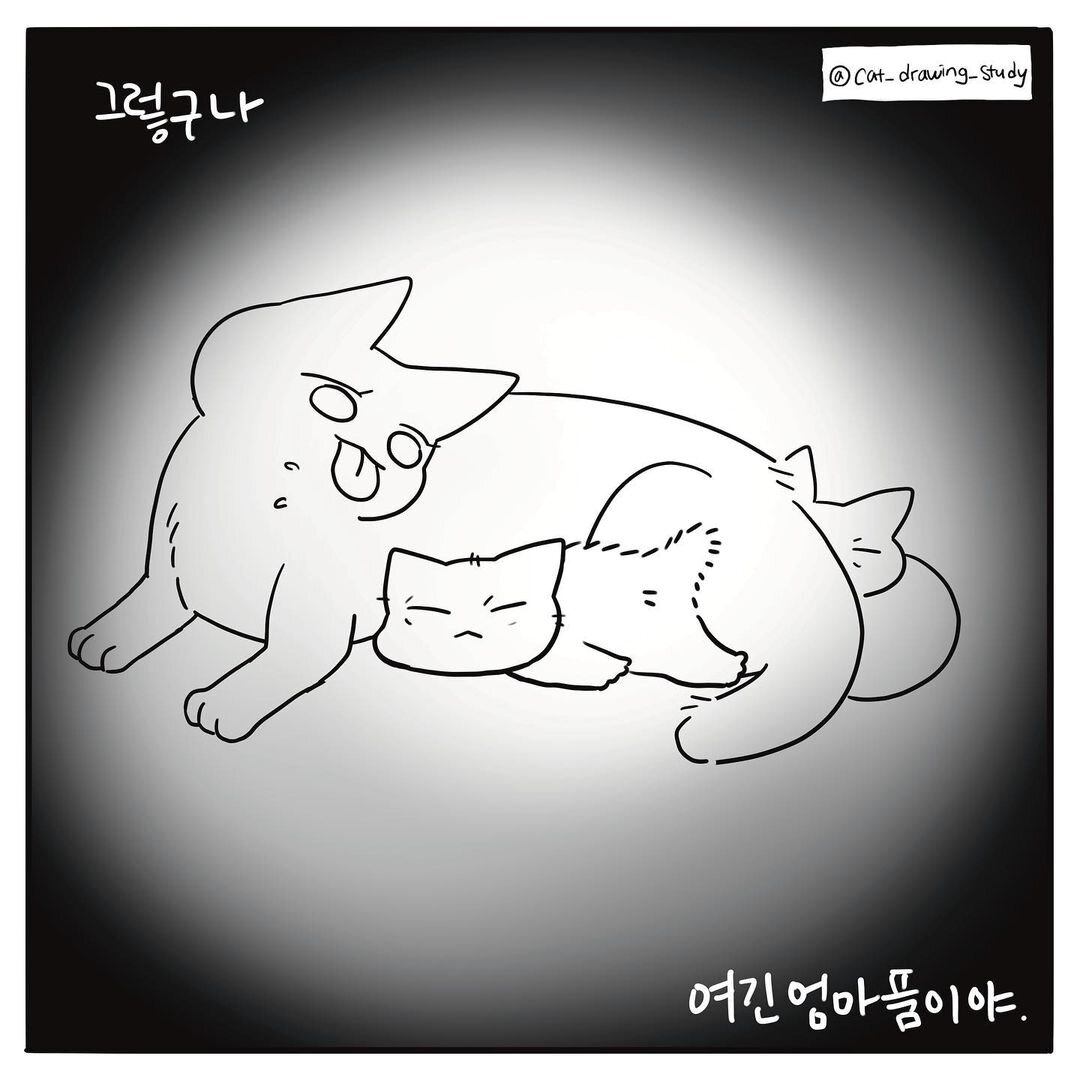본문 이미지 - 고양이그림공부 ⓒ 뉴스1