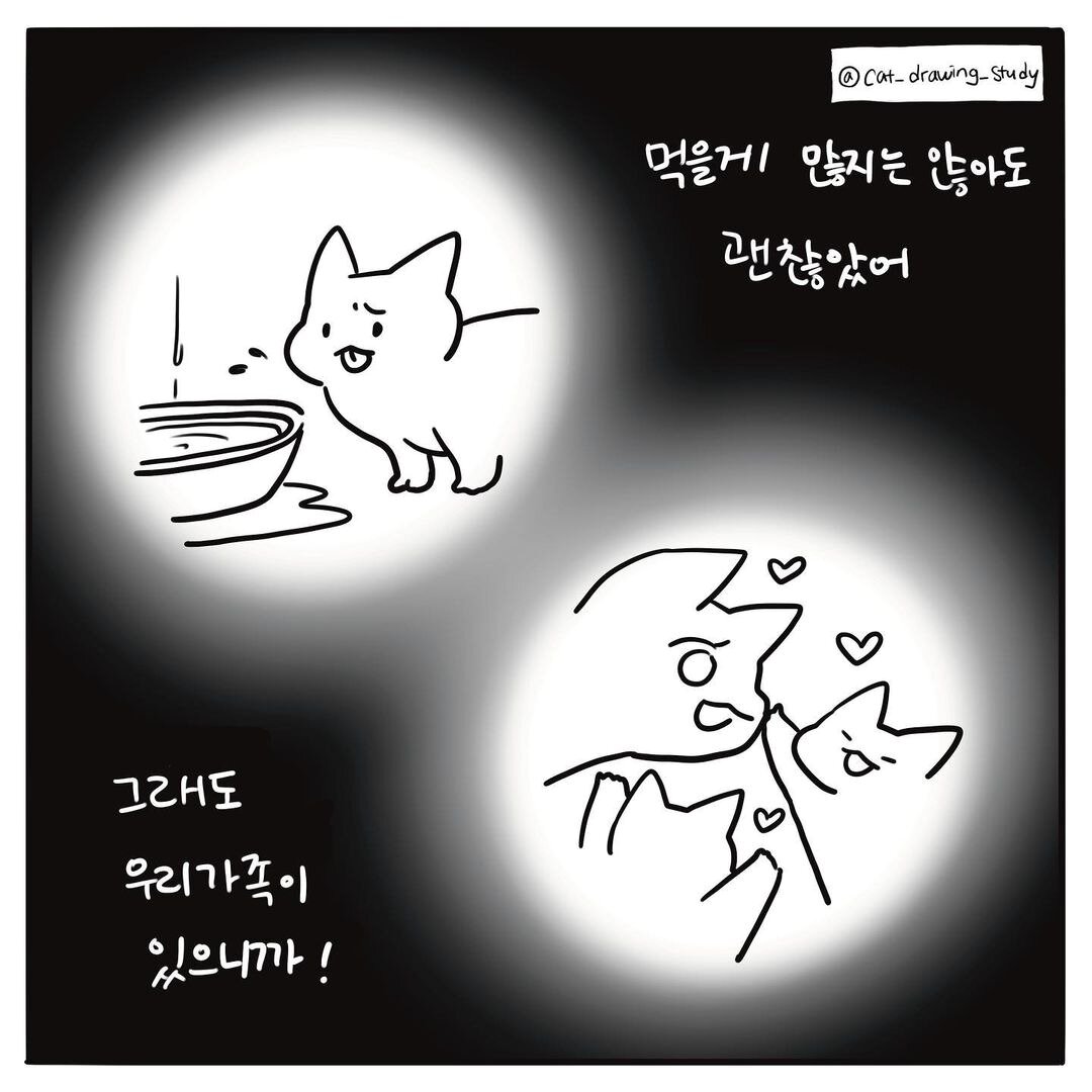 본문 이미지 - 고양이그림공부 ⓒ 뉴스1