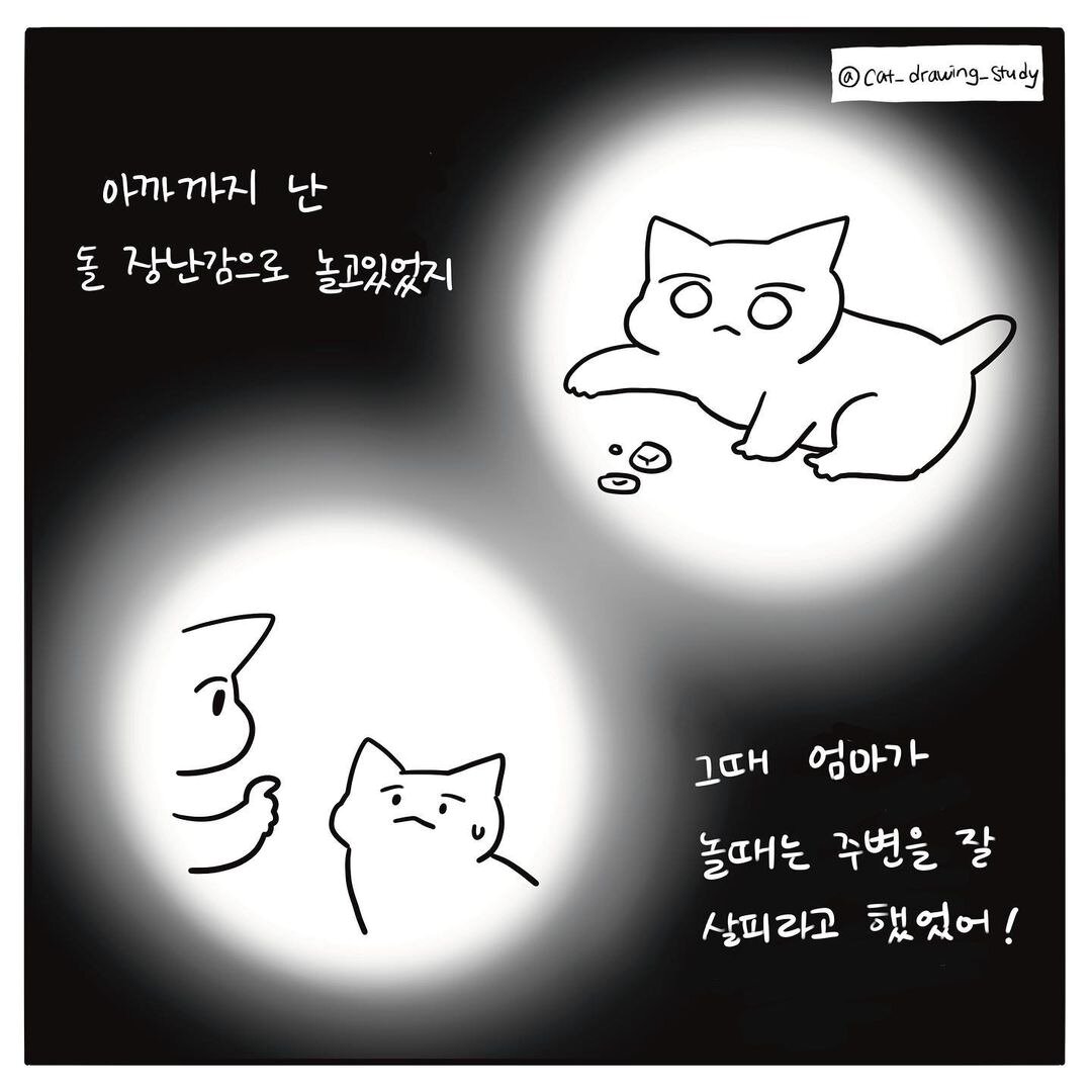 본문 이미지 - 고양이그림공부 ⓒ 뉴스1