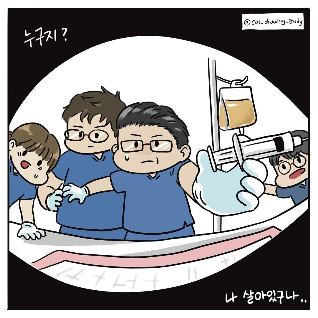 본문 이미지 - 고양이그림공부 ⓒ 뉴스1
