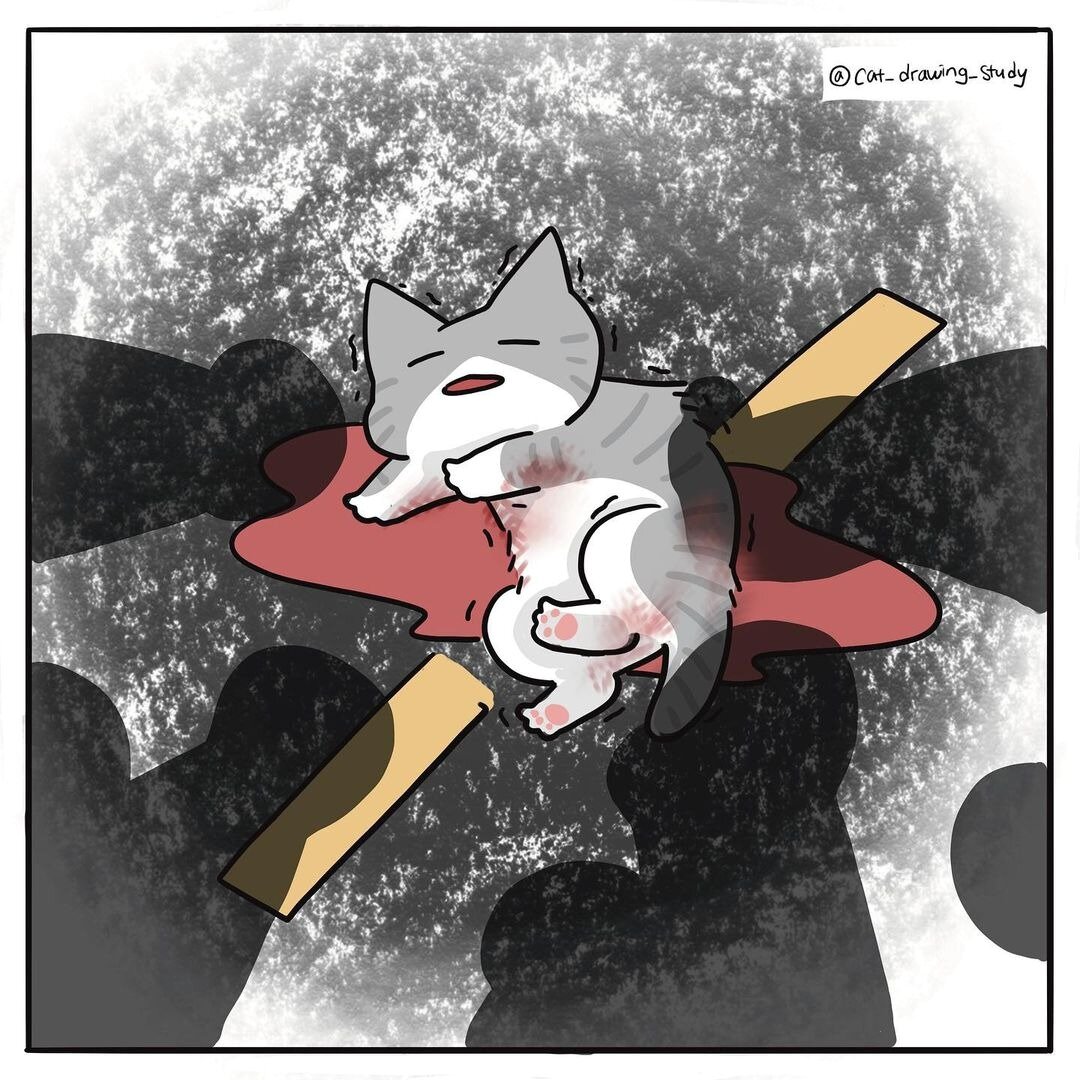 본문 이미지 - 고양이그림공부 ⓒ 뉴스1