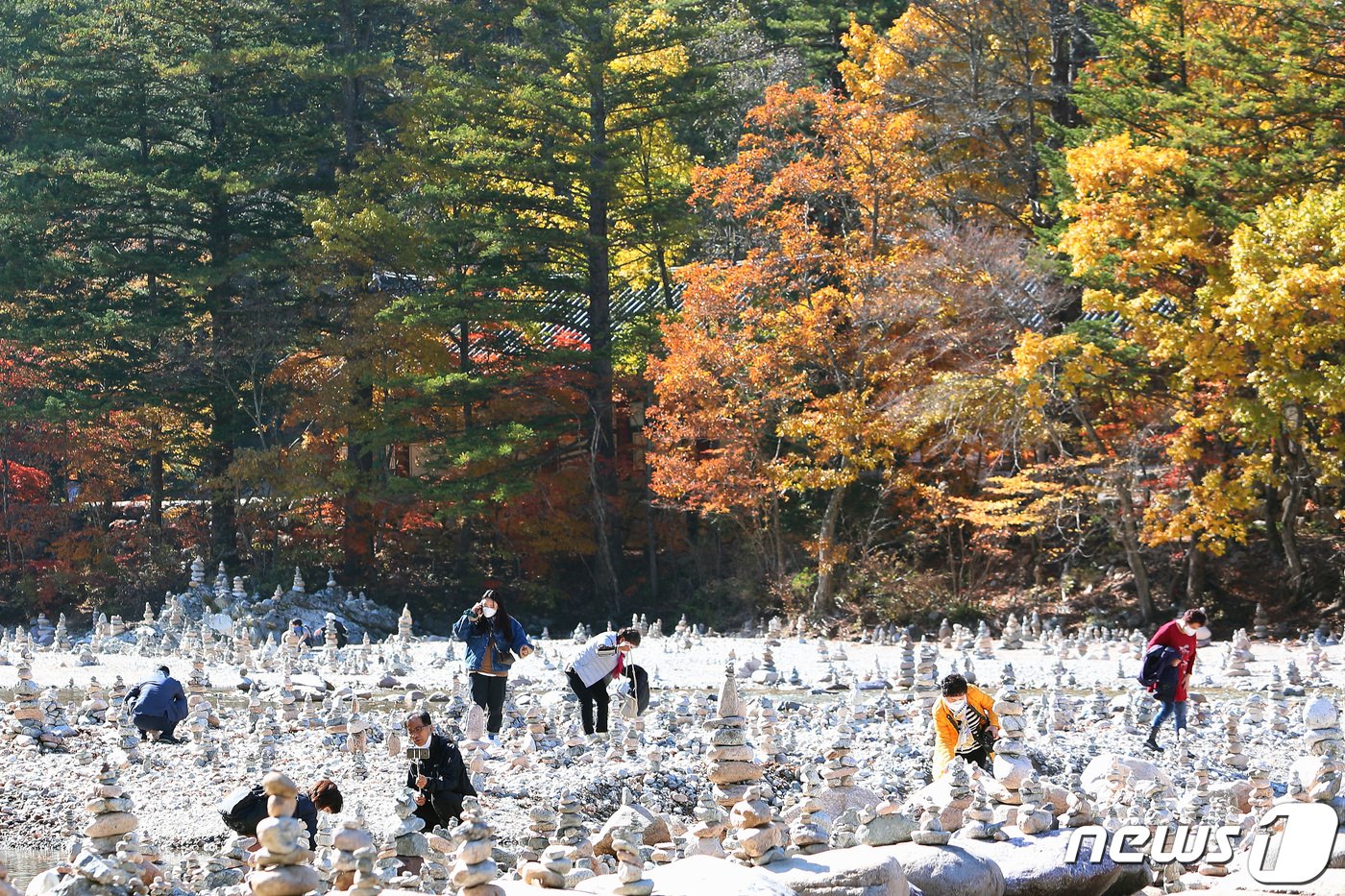 본문 이미지 - 지난 2021년 인제 설악산 백담계곡 일대 물든 단풍 자료사진.(인제군 제공) 