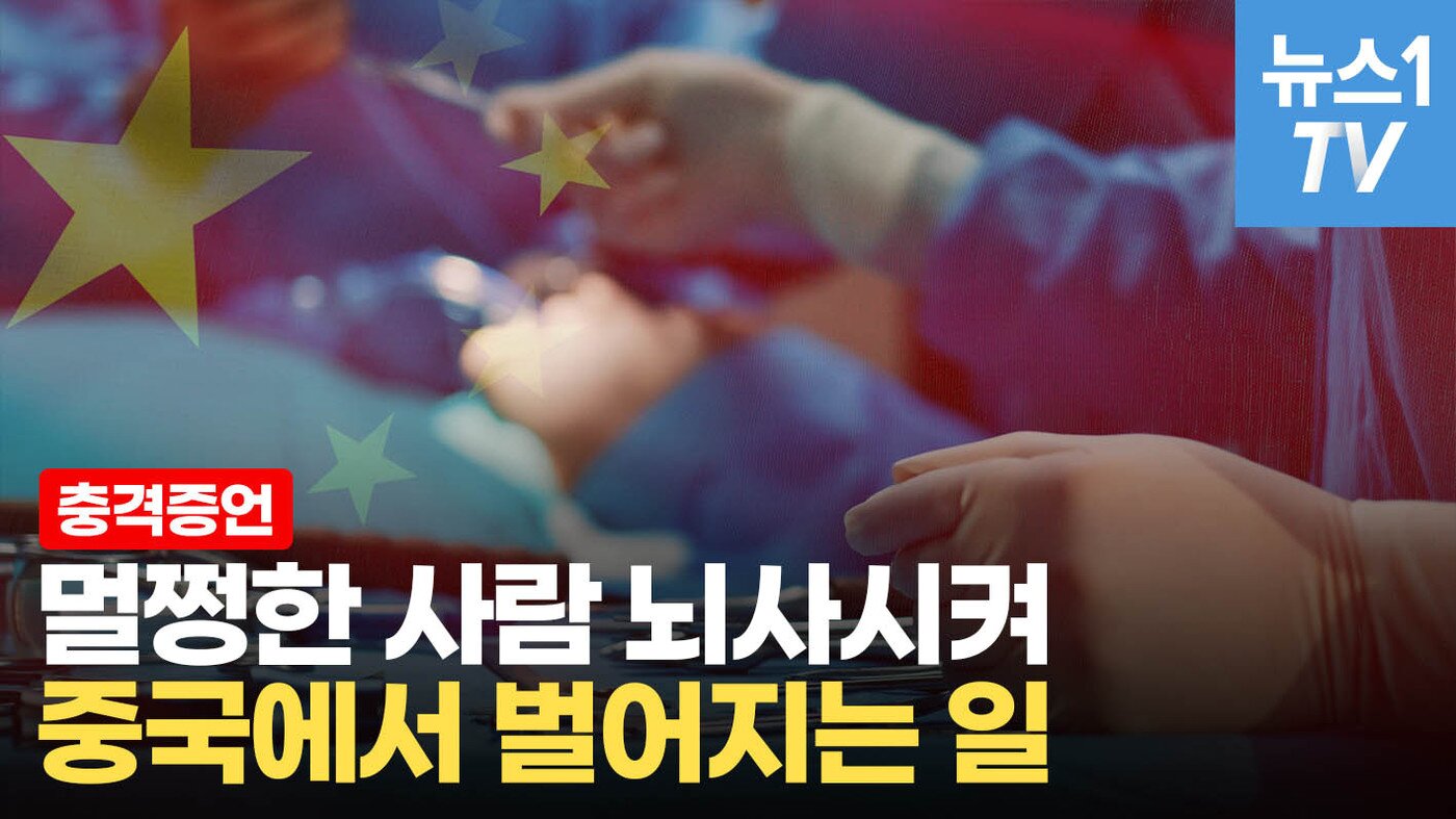 본문 이미지 - ⓒ 뉴스1