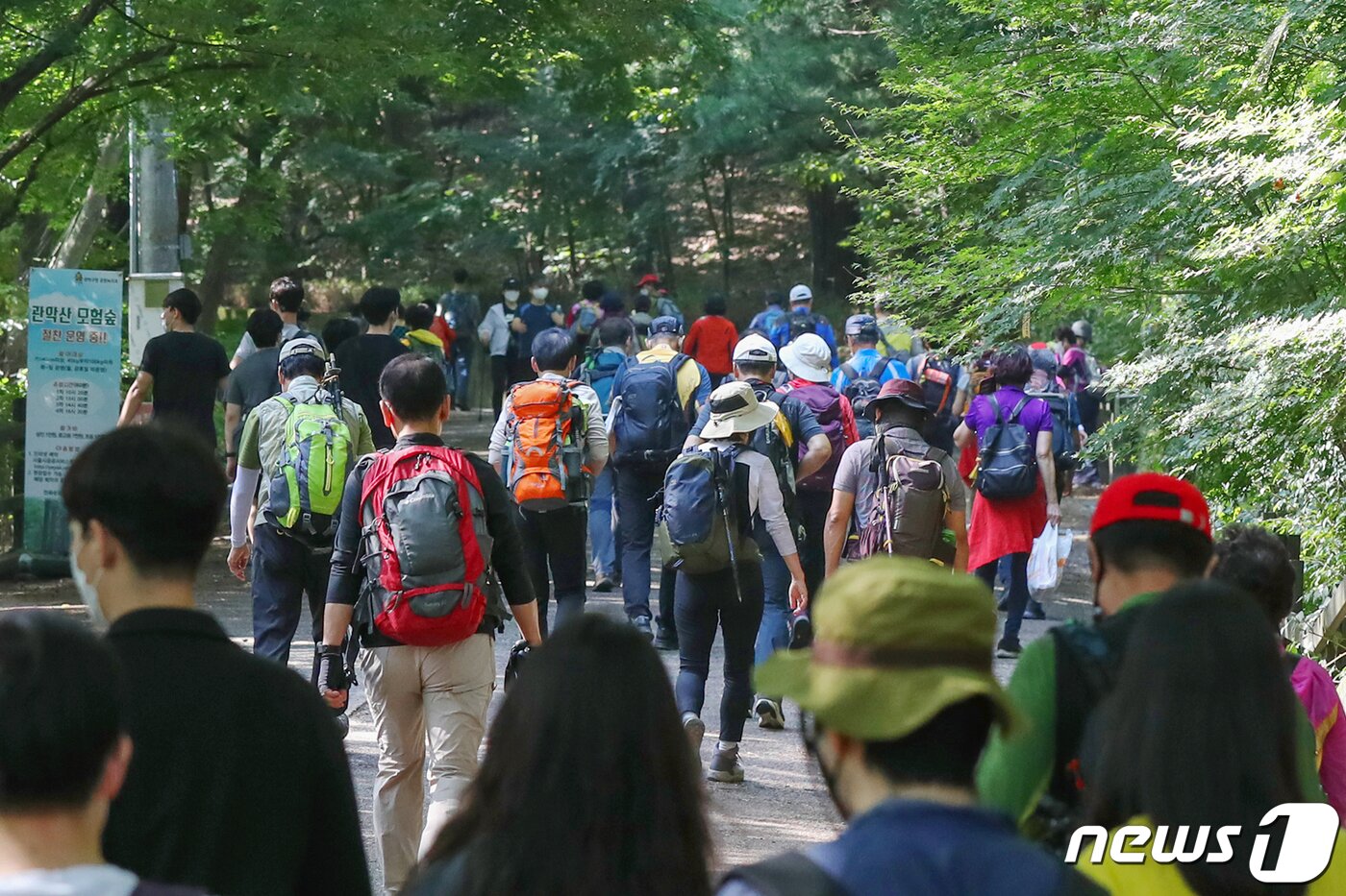 본문 이미지 - 서울 관악산을 찾은 시민들이 등산을 즐기고 있다. (뉴스1 DB, 기사와 관련 없음) ⓒ News1 민경석 기자