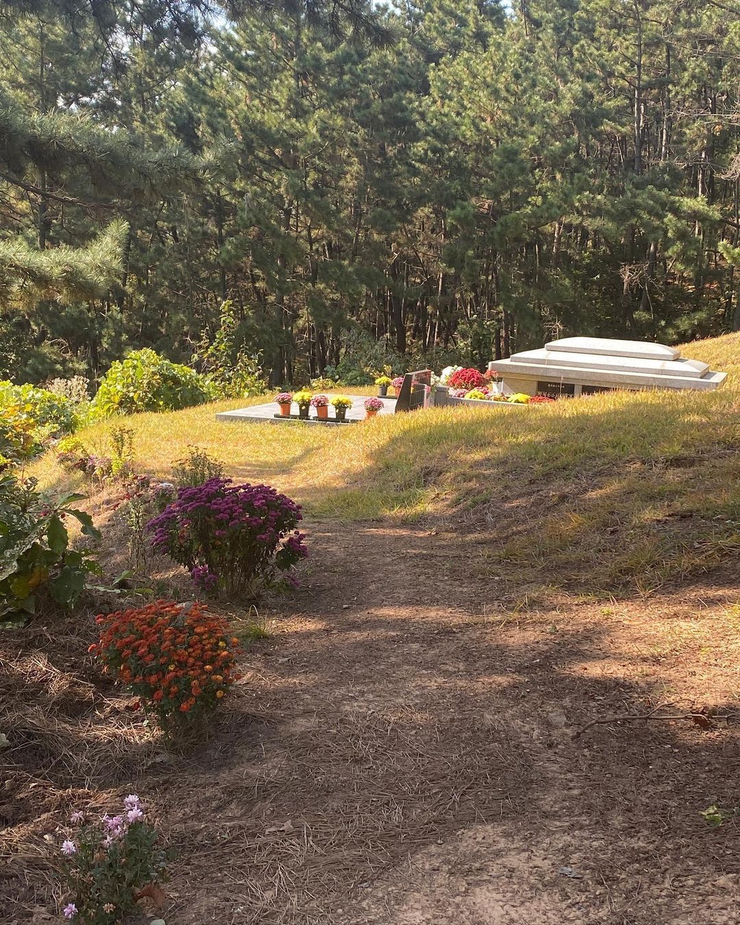 본문 이미지 - 사진=데프콘 인스타그램 ⓒ 뉴스1