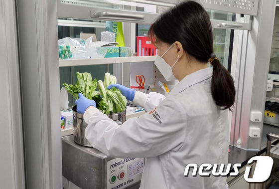 링크 미리보기