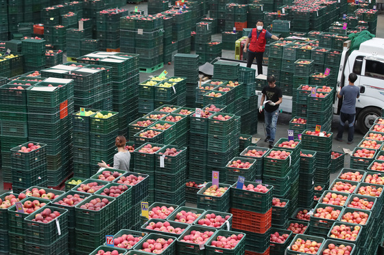“유가 오르면 비룟값 뛰는데”…경북 과수·시설농가 '비상'