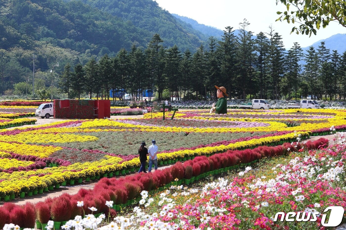 본문 이미지 - 7일 강원 인제 북면 용대리 용대관광단지에 국화를 비롯한 버들마편초, 구절초, 코스모스 등이 활짝 펴 장관을 이루고 있다. 오는 8일부터 24일까지 용대관광단지에서는 ‘인제에서 꽃길만 걷자’를 테마로 한 가을 꽃축제가 열린다.(인제군 제공) 2021.10.7/뉴스1 ⓒ News1 김정호 기자