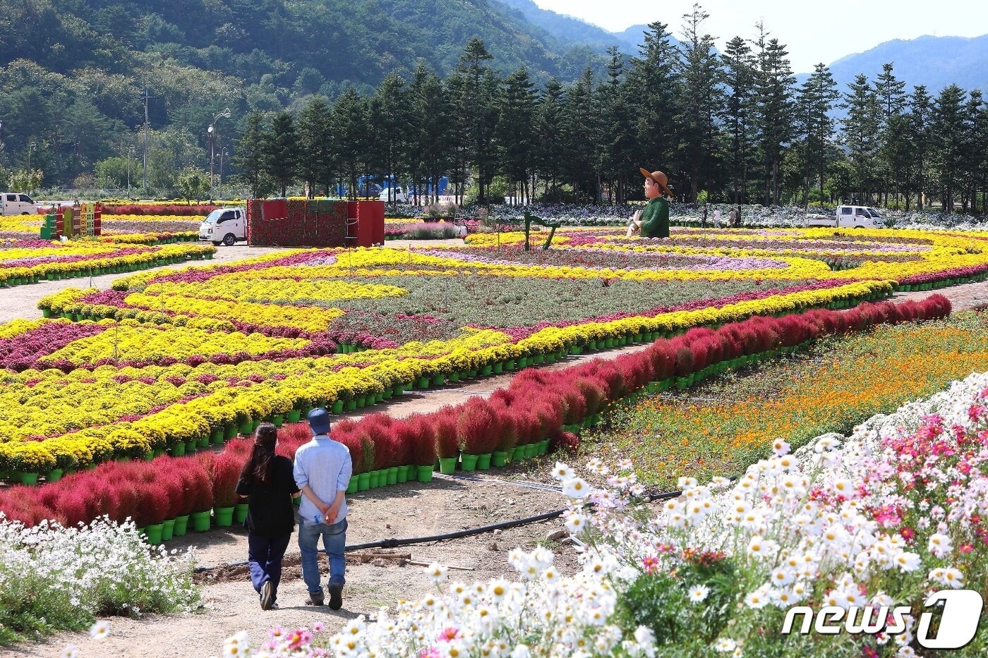 본문 이미지 - 7일 강원 인제 북면 용대리 용대관광단지에 국화를 비롯한 버들마편초, 구절초, 코스모스 등이 활짝 펴 장관을 이루고 있다. 오는 8일부터 24일까지 용대관광단지에서는 ‘인제에서 꽃길만 걷자’를 테마로 한 가을 꽃축제가 열린다.(인제군 제공) 2021.10.7/뉴스1 ⓒ News1 김정호 기자
