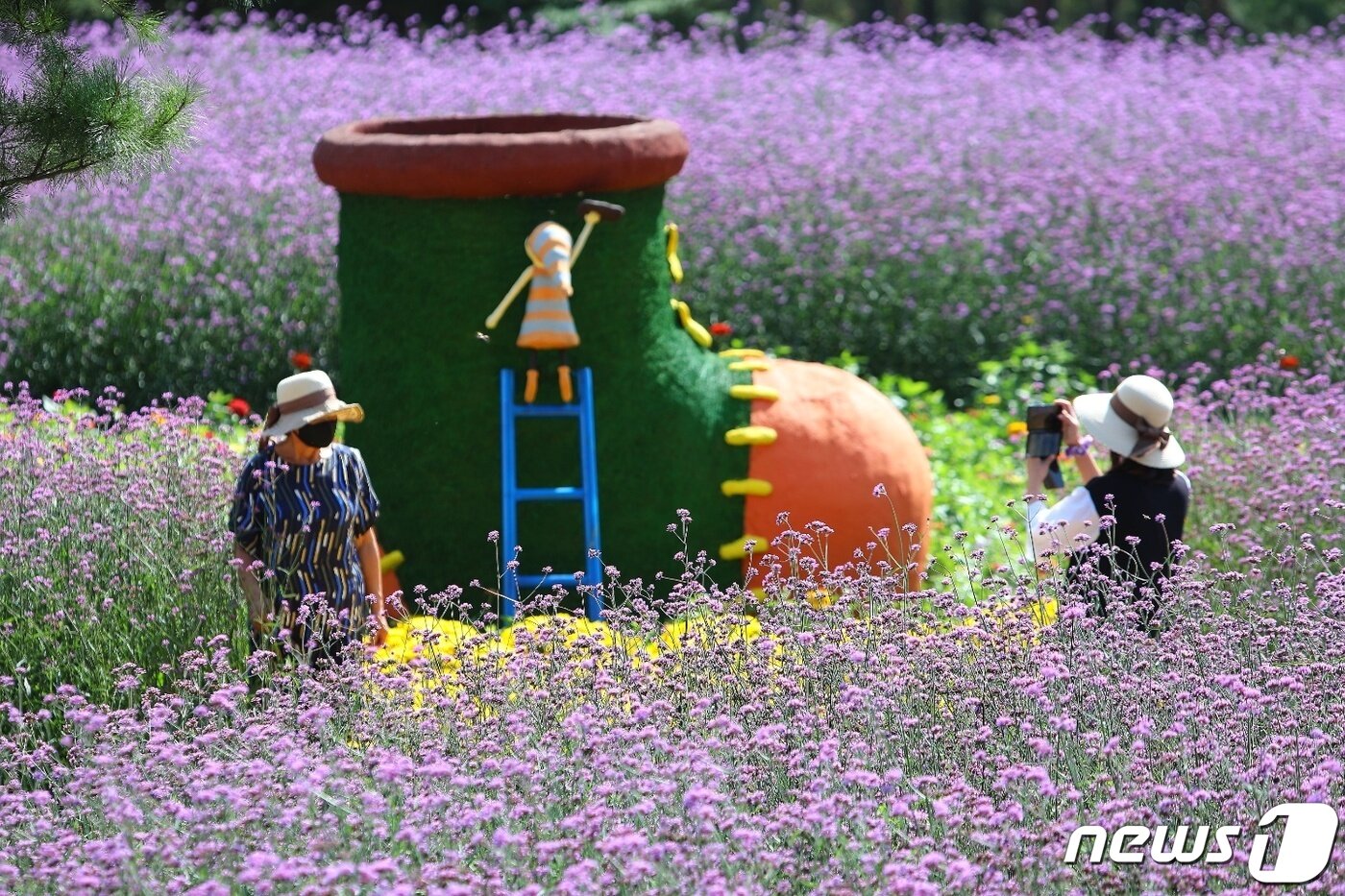 본문 이미지 - 7일 강원 인제 북면 용대리 용대관광단지에 국화를 비롯한 버들마편초, 구절초, 코스모스 등이 활짝 펴 장관을 이루고 있다. 오는 8일부터 24일까지 용대관광단지에서는 ‘인제에서 꽃길만 걷자’를 테마로 한 가을 꽃축제가 열린다.(인제군 제공) 2021.10.7/뉴스1 ⓒ News1 김정호 기자