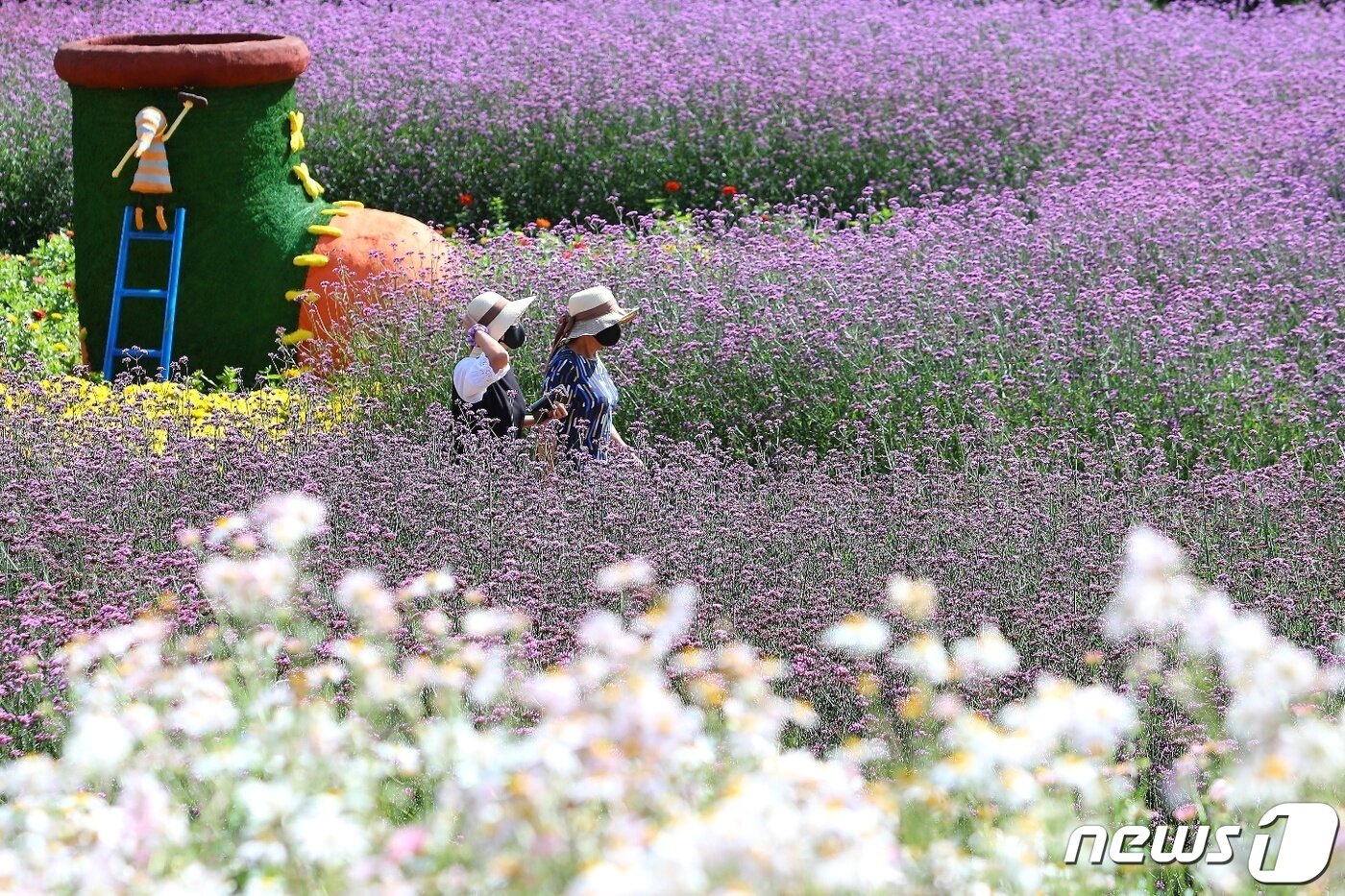 본문 이미지 - 7일 강원 인제 북면 용대리 용대관광단지에 국화를 비롯한 버들마편초, 구절초, 코스모스 등이 활짝 펴 장관을 이루고 있다. 오는 8일부터 24일까지 용대관광단지에서는 ‘인제에서 꽃길만 걷자’를 테마로 한 가을 꽃축제가 열린다.(인제군 제공) 2021.10.7/뉴스1 ⓒ News1 김정호 기자