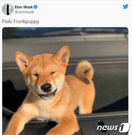 본문 이미지 - 머스크 트위터 갈무리