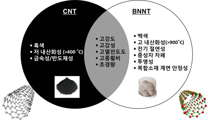 본문 이미지 - 탄소나노튜브(CNT)와 질화붕소나노튜브(BNNT)의 특성 (한국과학기술연구원 복합소재기술연구소 제공) 2021.10.09 /뉴스1