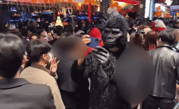 본문 이미지 - 고릴라 분장을 한 남성이 버니걸 분장을 한 여성을 불법 촬영하는 모습이 포착됐다. (유튜브 갈무리) ⓒ 뉴스1