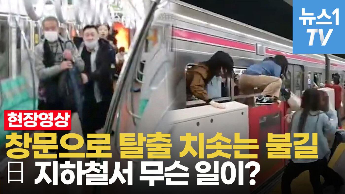 본문 이미지 - ⓒ 뉴스1