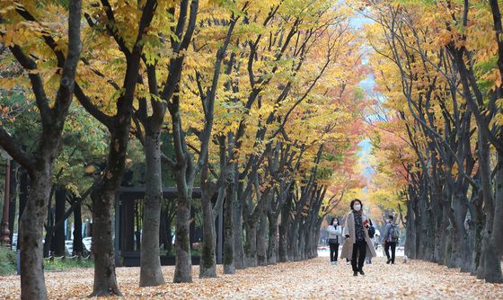 [오늘의 날씨] 대전·충남(13일, 수)…낮 기온 20도 내외 '포근'