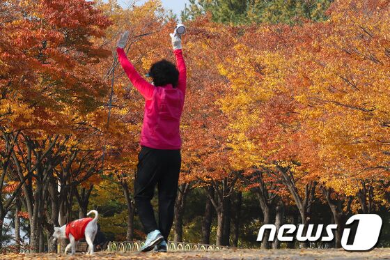 단계적 일상회복(위드 코로나) 시행 첫날인 1일 대구스타디움 주변 산책로에서 반려견과 함께 산책을 나온 시민이 울긋불긋 곱게 물든 단풍을 감상하며 기지개를 켜고 있다. 2021.11.1/뉴스1 © News1 공정식 기자