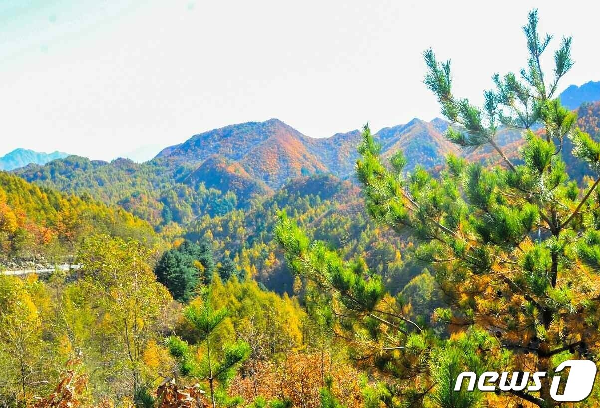 본문 이미지 - (평양 노동신문=뉴스1) = 북한 노동당 기관지 노동신문은 10일 '산림복구전투의 줄기찬 노정, 나날이 변모되는 조국산천'이라는 제목으로 관련 사진 여러 장을 실었다.  [국내에서만 사용가능. 재배포 금지. DB 금지. For Use Only in the Republic of Korea. Redistribution Prohibited] rodongphoto@news1.kr