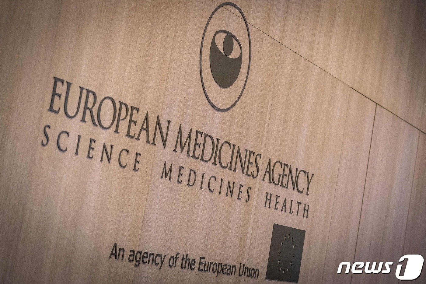 본문 이미지 - 유럽연합&#40;EU&#41; 의약품 규제당국인 유럽의약품청&#40;EMA&#41;. ⓒ AFP=뉴스1