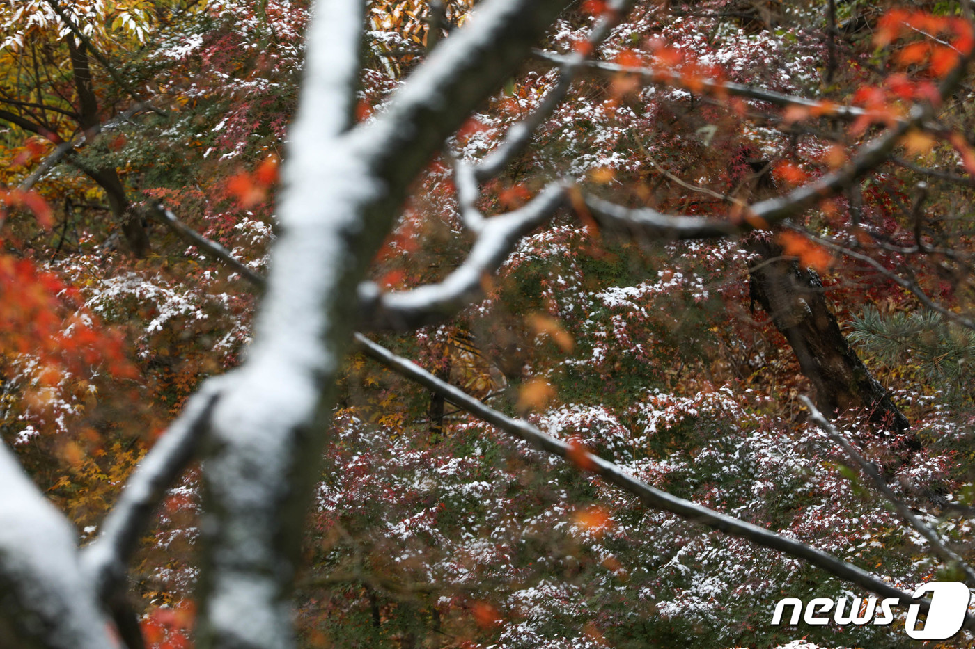 (서울=뉴스1) 성동훈 기자 = 10일 오전 서울 성북구 삼청각 일대에 첫눈의 흔적이 보이고 있다. 2021.11.10/뉴스1