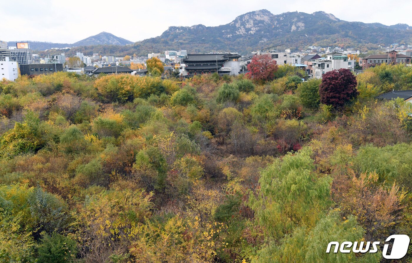본문 이미지 - 10일 고(故) 이건희 회장 유족이 국가에 기증한 2만3000여점의 문화재와 미술품을 보존·전시·연구하는 가칭 '이건희 기증관' 건립지로 최종 확정된 서울 종로구 송현동 부지의 모습. 서울시와 문화체육관광부는 이날 업무협약식에서 기증관 건립을 위한 부지 교환 절차, 준비단 구성 등에 합의했다. 2021.11.10/뉴스1 ⓒ News1 안은나 기자